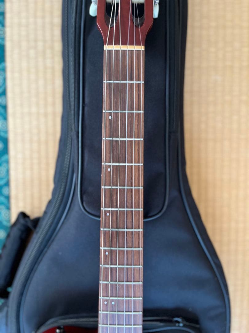 Godin Multiac Nylon Encore 値下げしました！