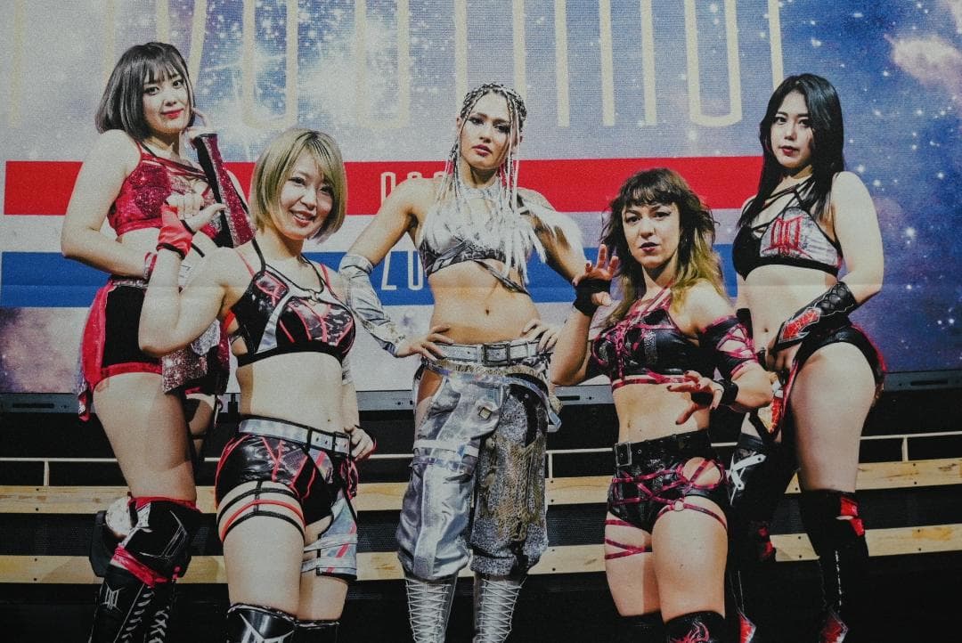 新品同様 スターダム DDM ミニタペストリー ひめか 桜井まい ジュリア