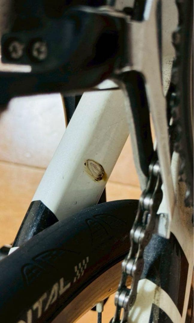 コルナゴ COLNAGO STRADA SL 105 ロードバイク