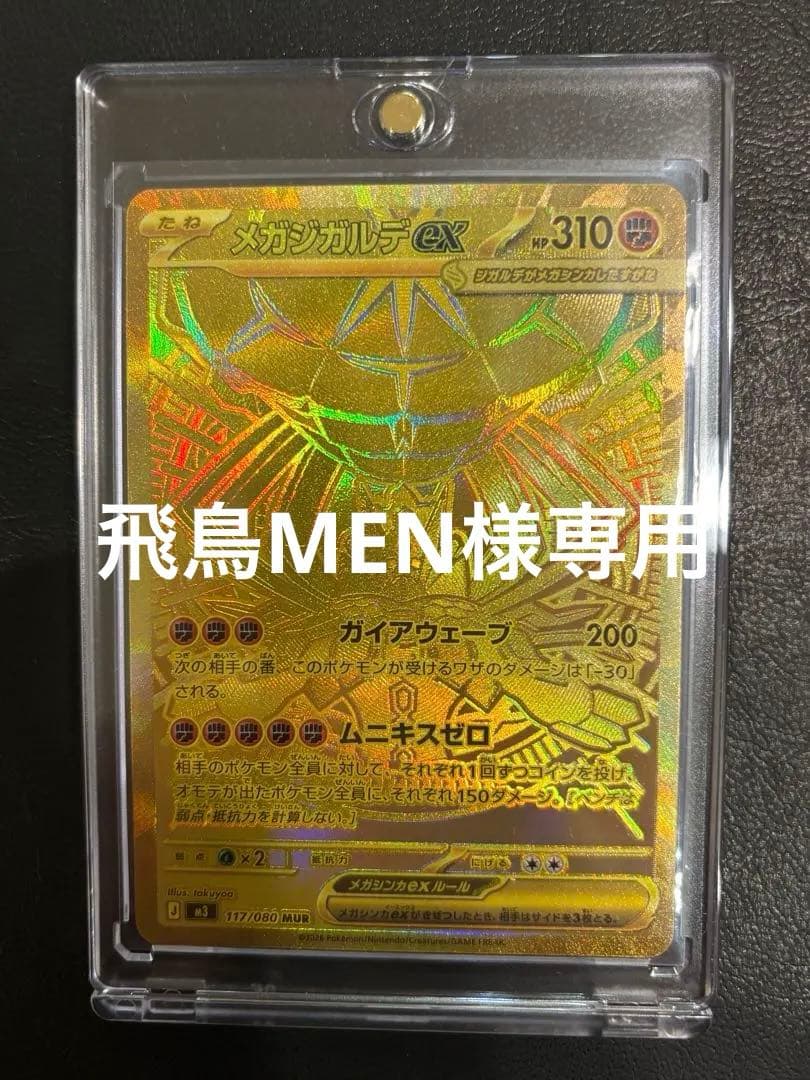 美品 メガジガルデEX MUR