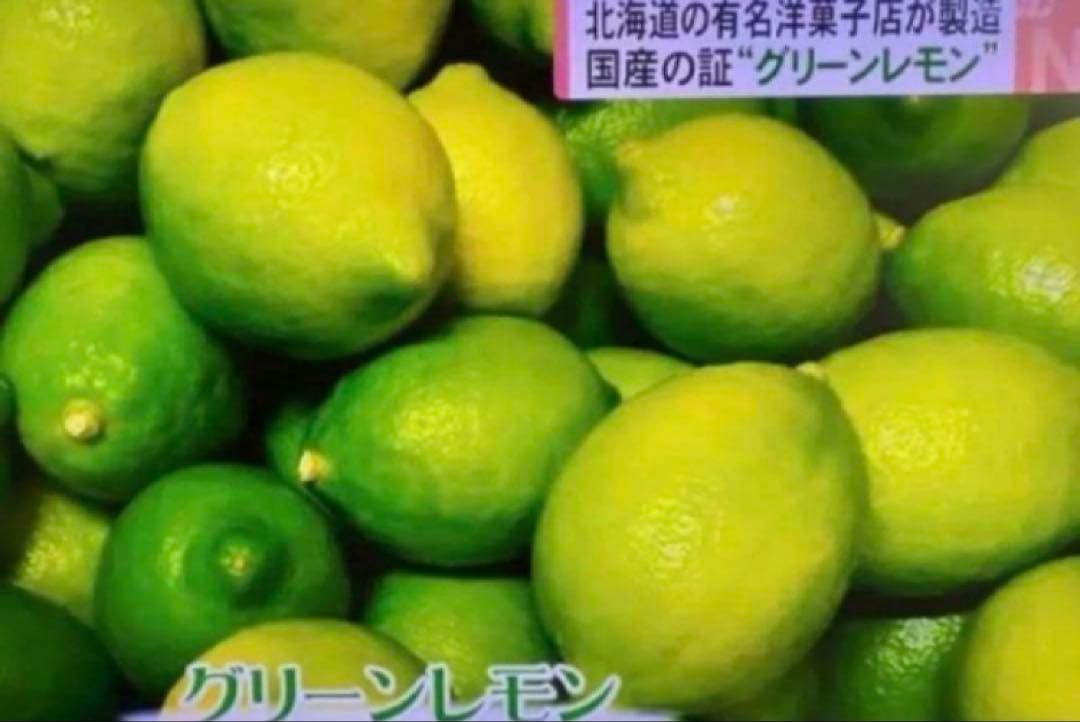 酵素栽培　小粒ちゃん　ネーブル 瀬戸田　広島県　皮も食べてオランジェット 国産