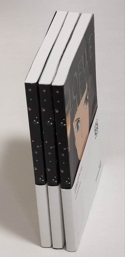 LOEWE × 千と千尋の神隠し　コラボ　ロエベノート　3冊セット