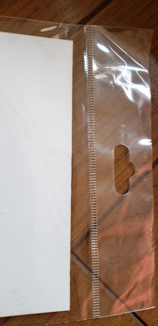 ディズニーランド　ブロマイド