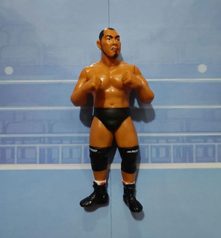 大谷晋二郎　高岩竜一　プロレスフィギュアセット