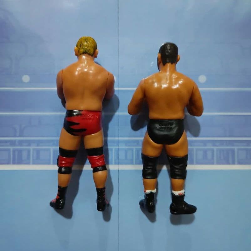 大谷晋二郎　高岩竜一　プロレスフィギュアセット