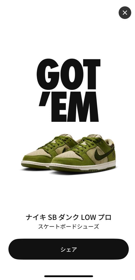 NIKE SB 堀米ダンク 新品未使用