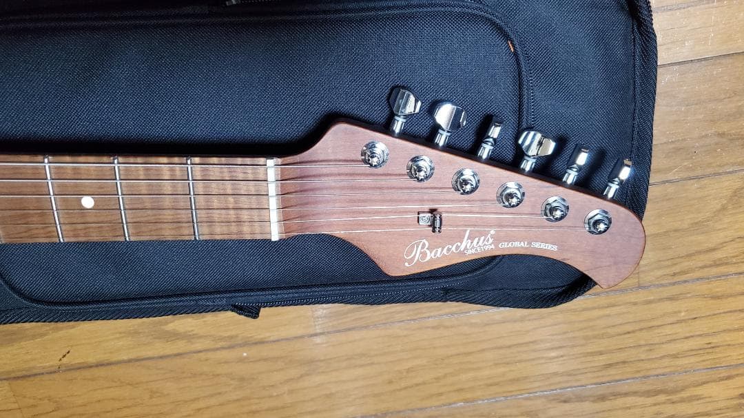 Bacchus TACTICS24-STD/RSM Gun-M ほぼ新品