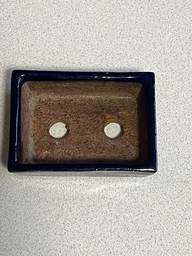 盆栽鉢　植木鉢　陶芸　盆栽