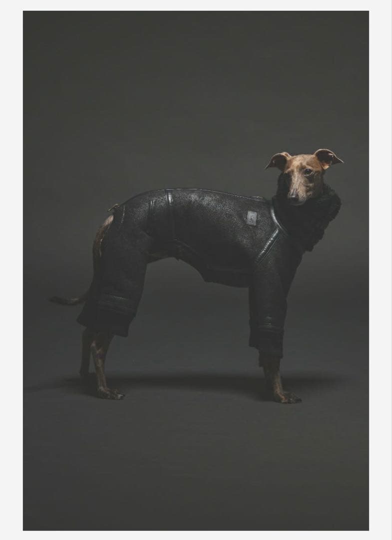 sivi B3 フライトスーツブラック