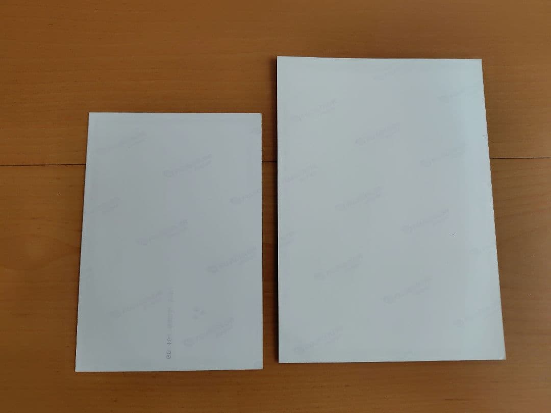 限定価格❕️マイケルジャクソン 日本来日時の生写真