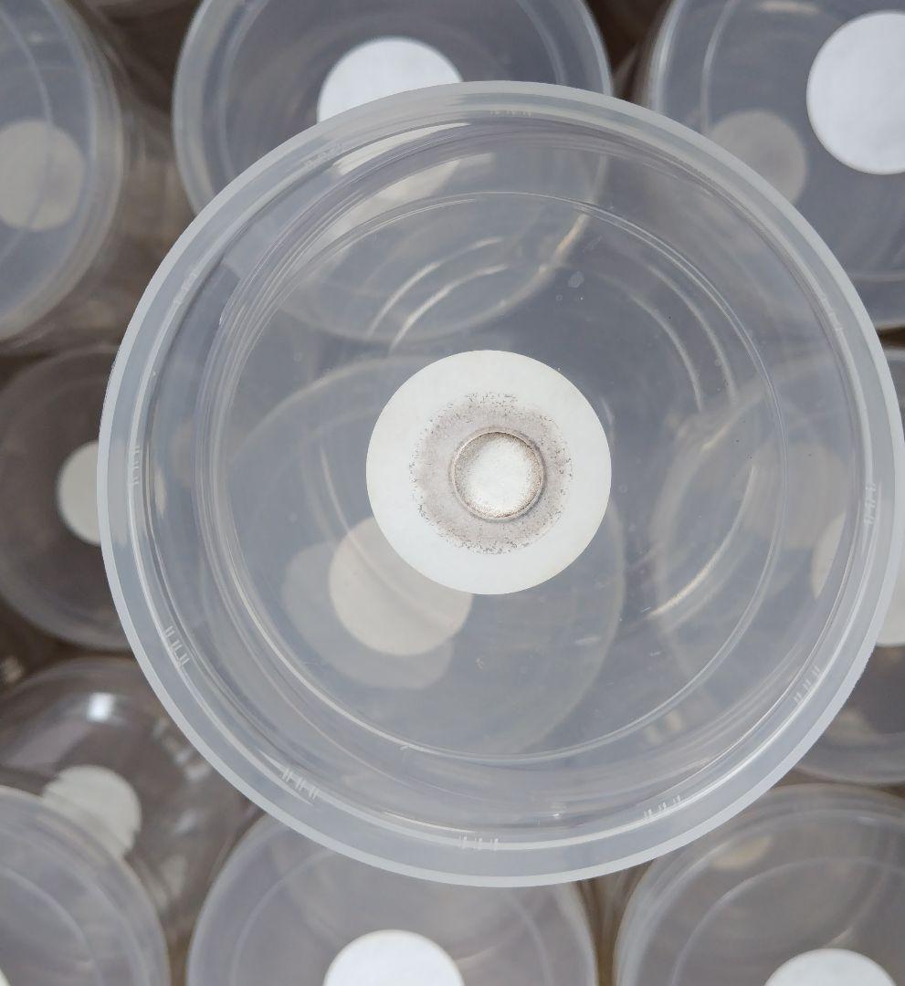 クリアボトル 1600cc 1つ穴 60本