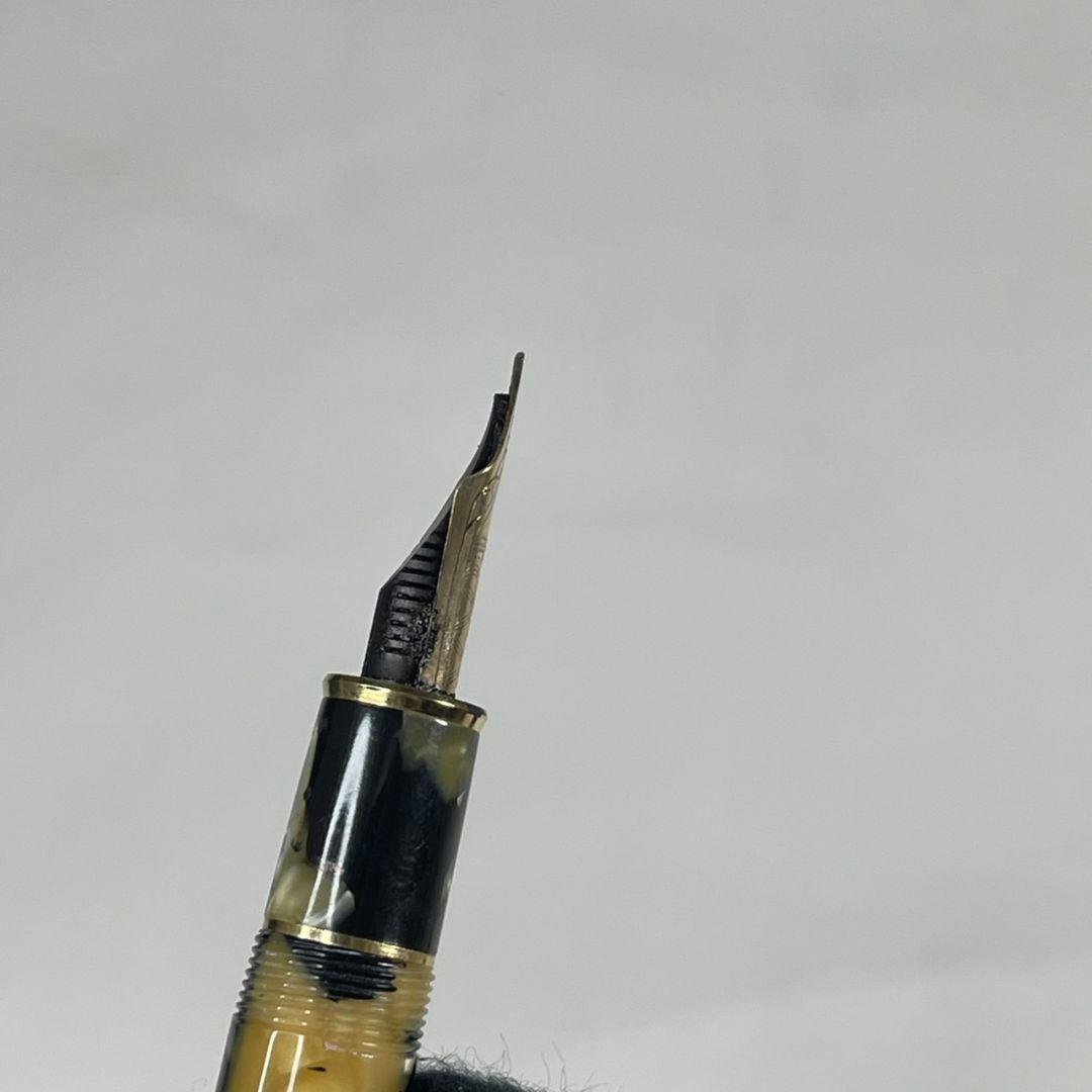 プラチナ 18k 万年筆 3776 セルロイド 石垣柄 中字