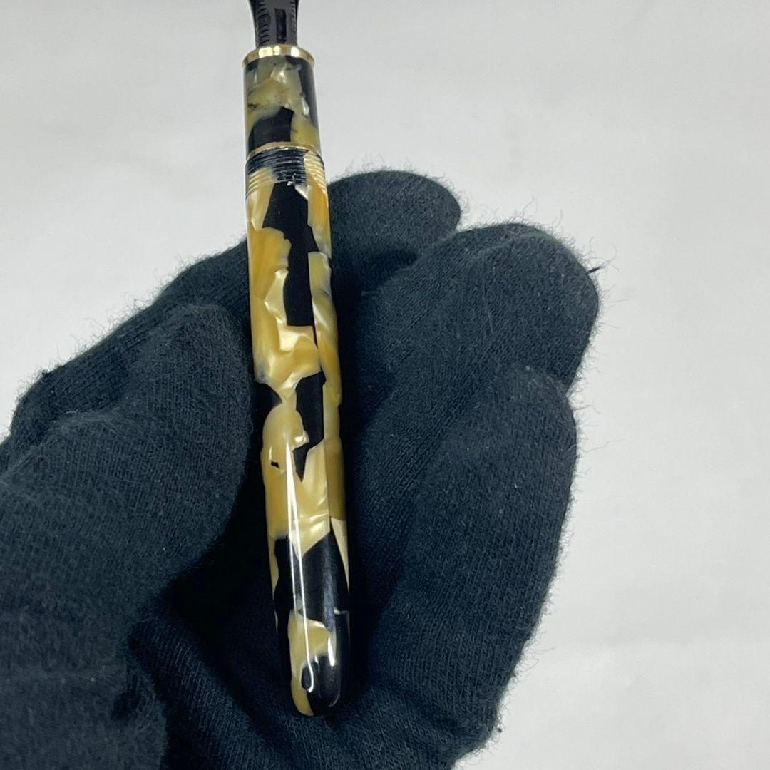 プラチナ 18k 万年筆 3776 セルロイド 石垣柄 中字