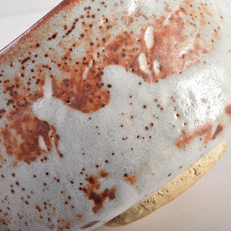 昇　荒川豊蔵　桧垣芦ノ絵鼠志野茶碗　銘朗景即中斎極め箱二重箱　DR8770