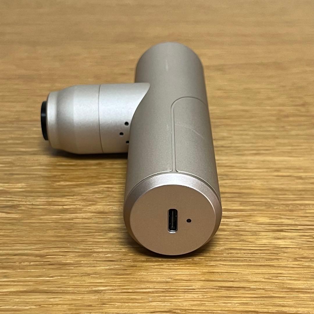 ATEX LOURDES ルルドガン プラスアーム