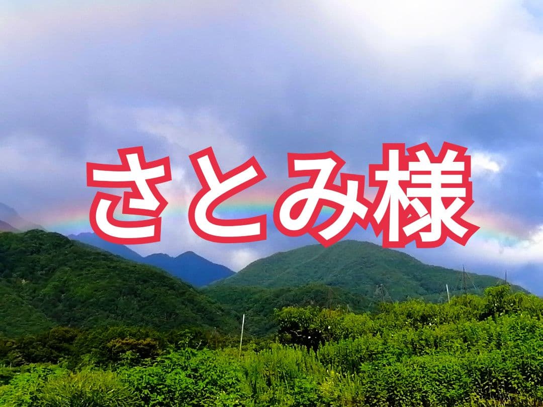 さとみ様　山梨県産　美麗白あんぽ柿　絶品甲州百目(大ぶり)　各1kg 枯露柿
