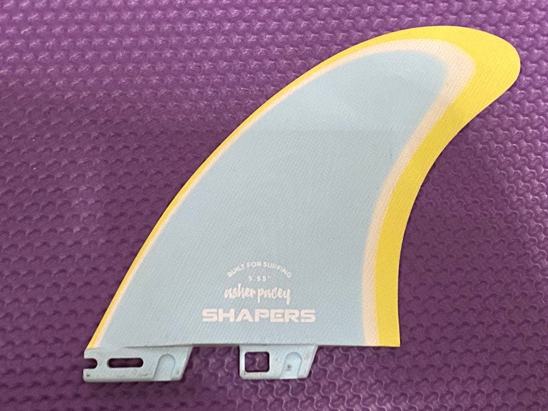 アッシャー・ペイシー fc2 ツインフィン