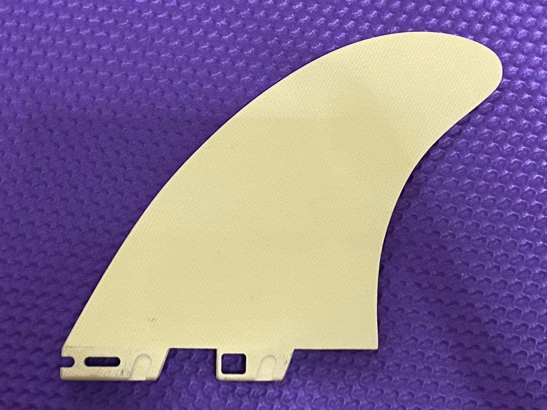 アッシャー・ペイシー fc2 ツインフィン