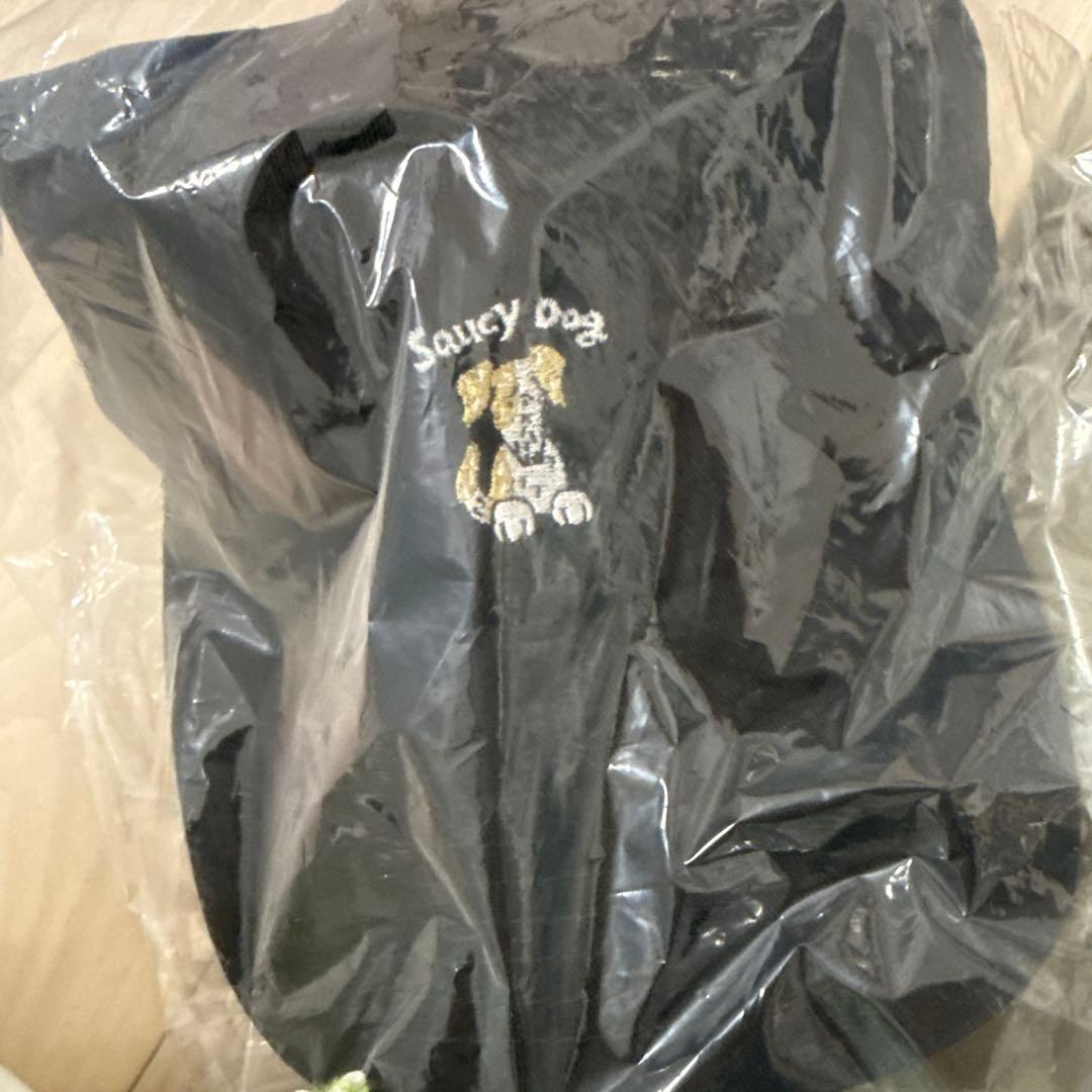 Saucy Dog グッズ まとめ売り