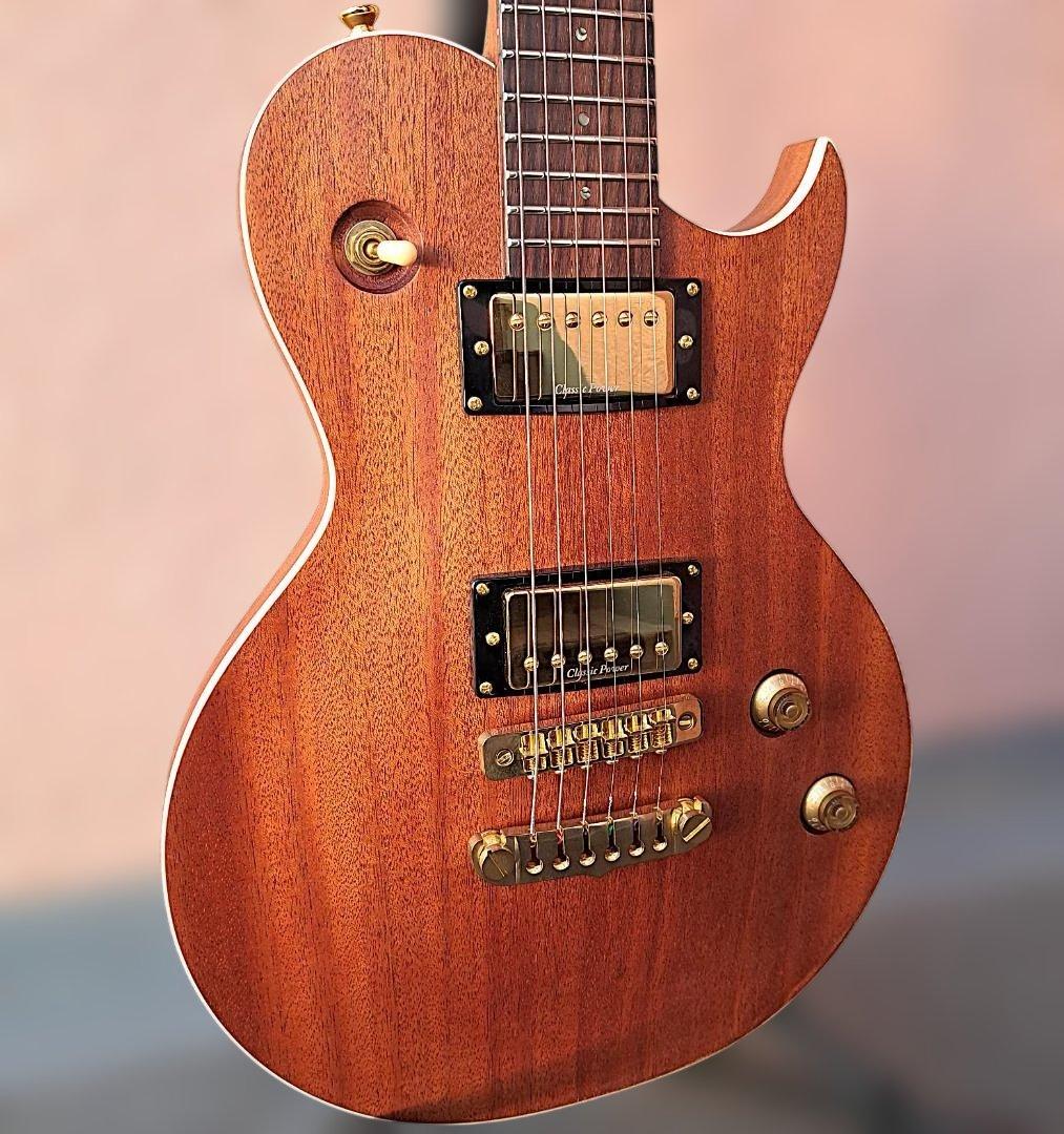 ■AriaProII PE-MAHO II/G 美品 マホガニー アリアプロツー