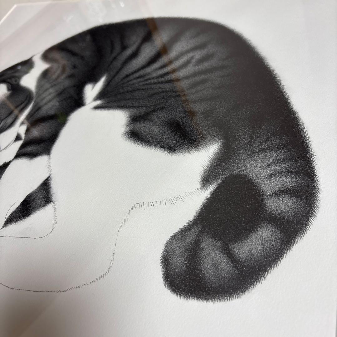 吉成信雄　猫の画(額縁付き) 肉球　　　 ハート　眠り猫