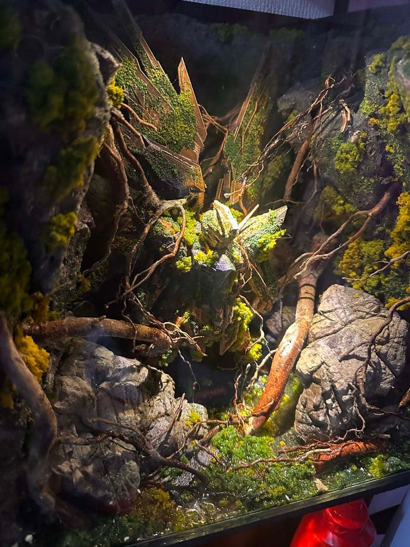ガンダム自然風景テラリウム l LEDライト付き