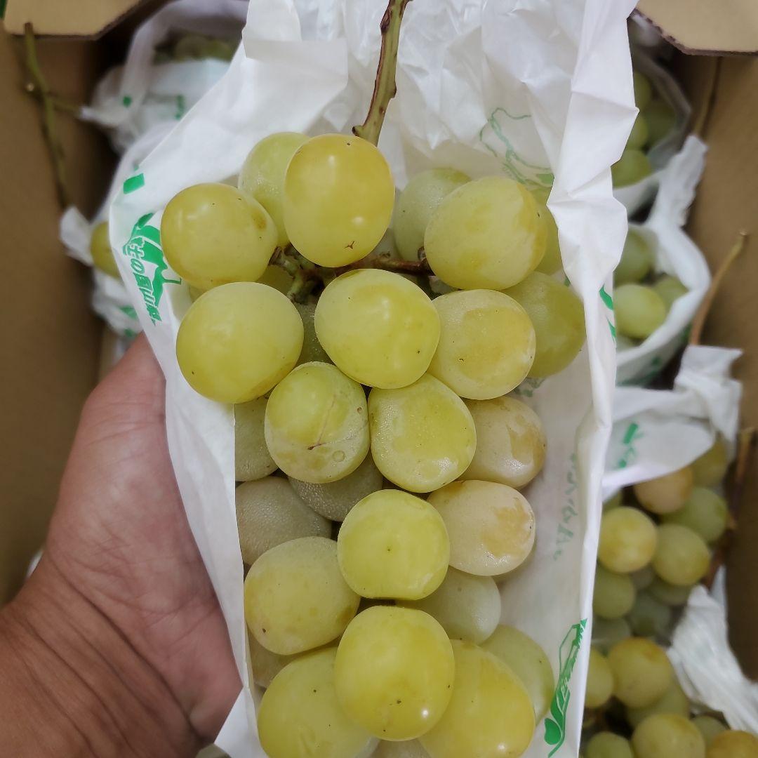 2️⃣ 山梨県産 シャインマスカット ９房入り 箱込み5.5キロ