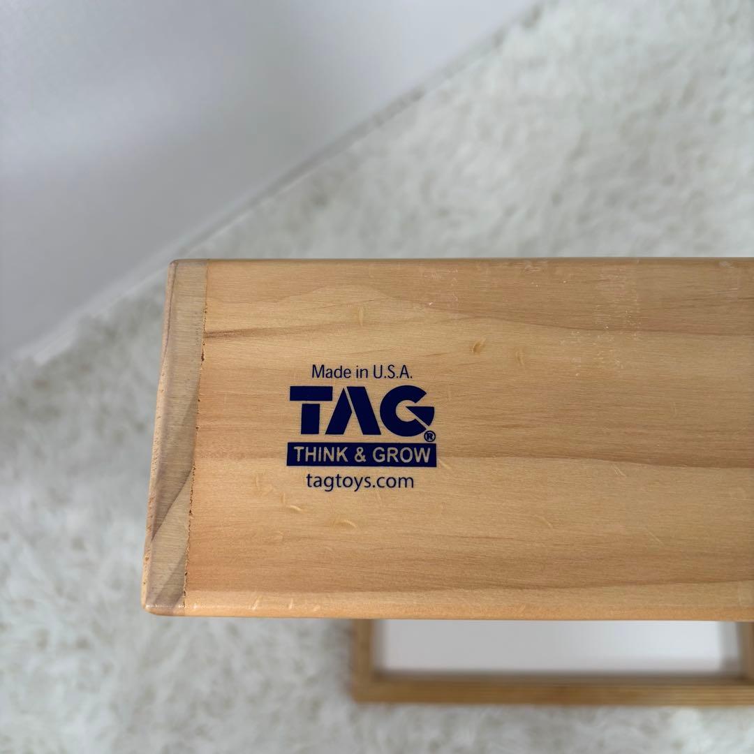 TAG社 ボールトラッカー モンテッソーリ　知育玩具　ETHINK & GROW