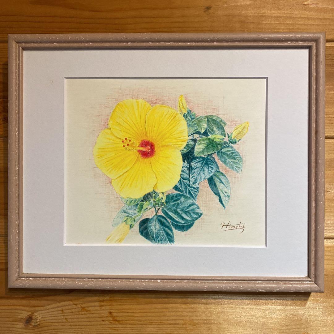 幸せの黄色いハイビスカス(色鉛筆画)