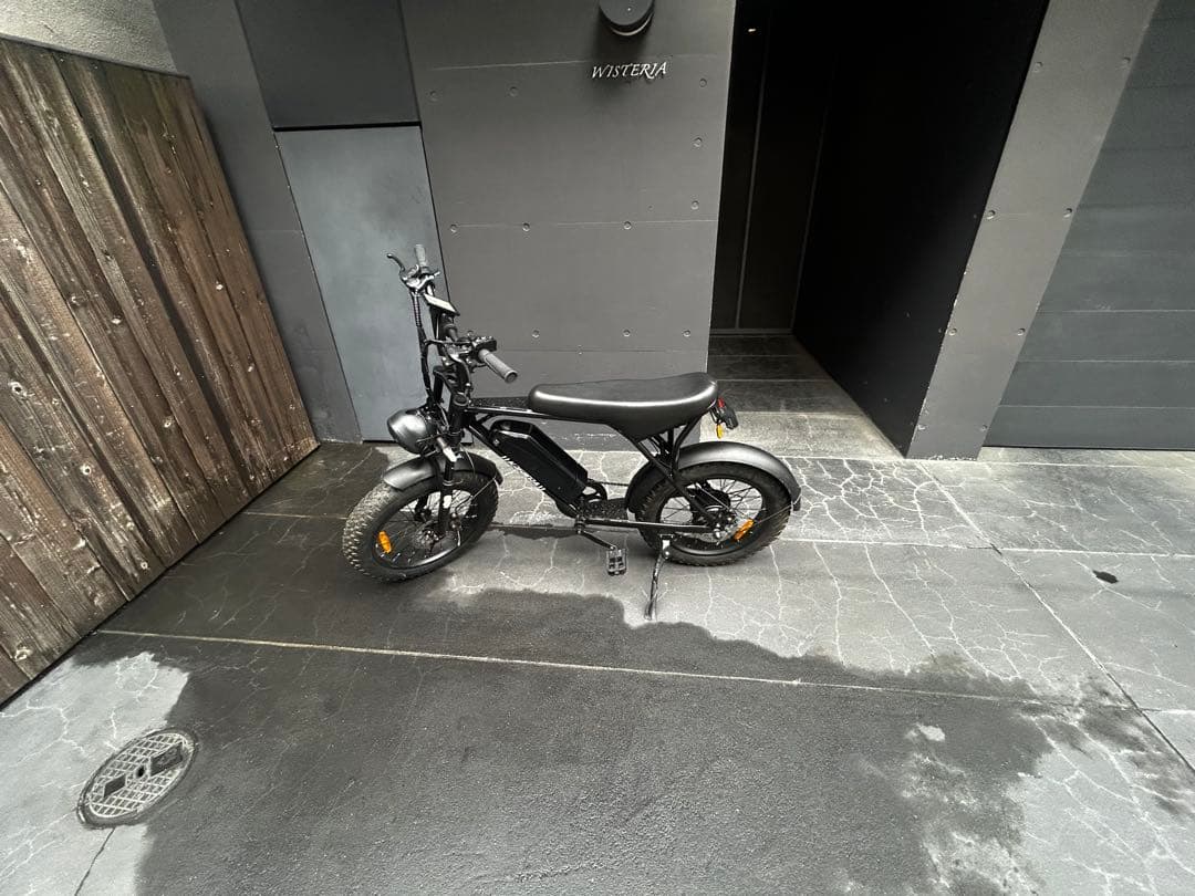 Krisbora 電動自転車