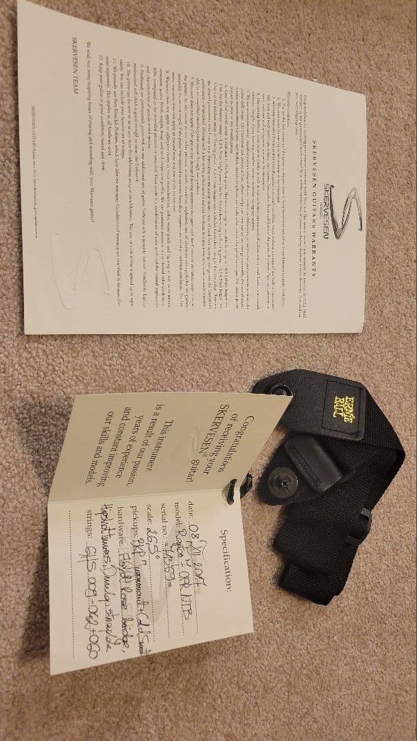 Skervesen Raptor 7 / 7弦ギター