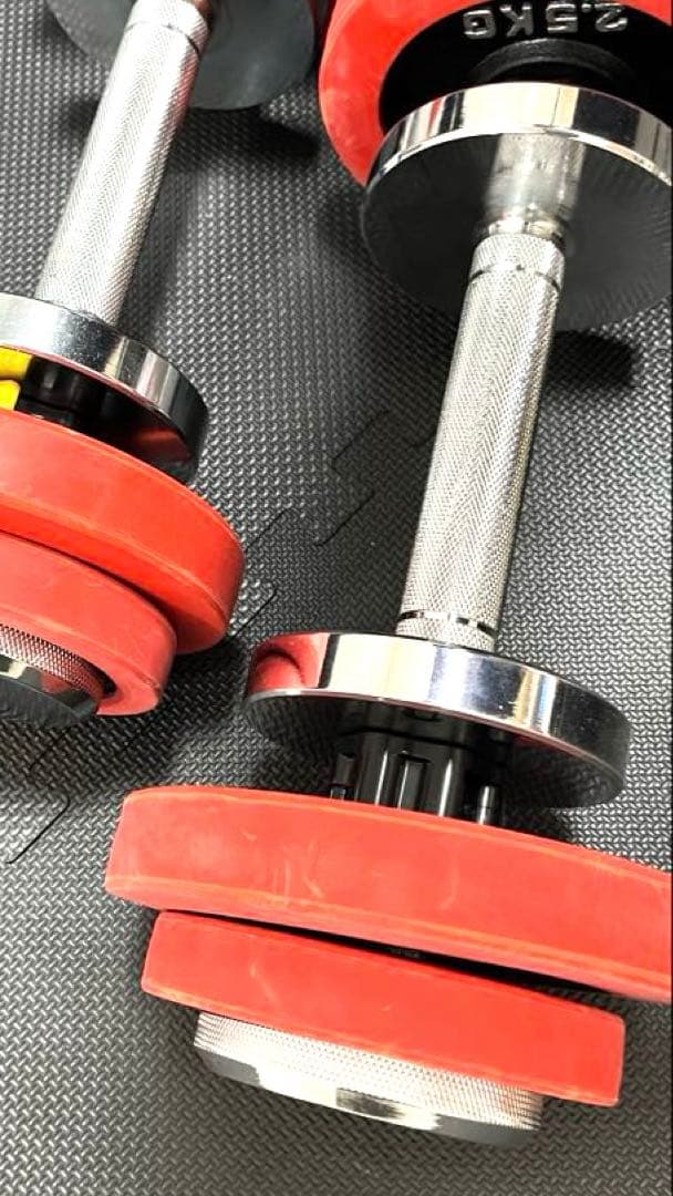 モリヤ ロングスクリューダンベルセット 1本　IROTECプレート付き