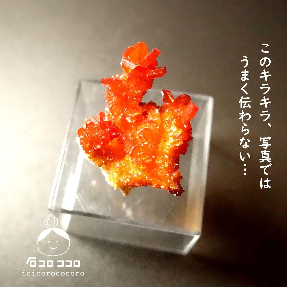 【匿名配送】バナディナイト06◆モロッコ直輸入【かわいい鉱物標本】石コロ ココロ