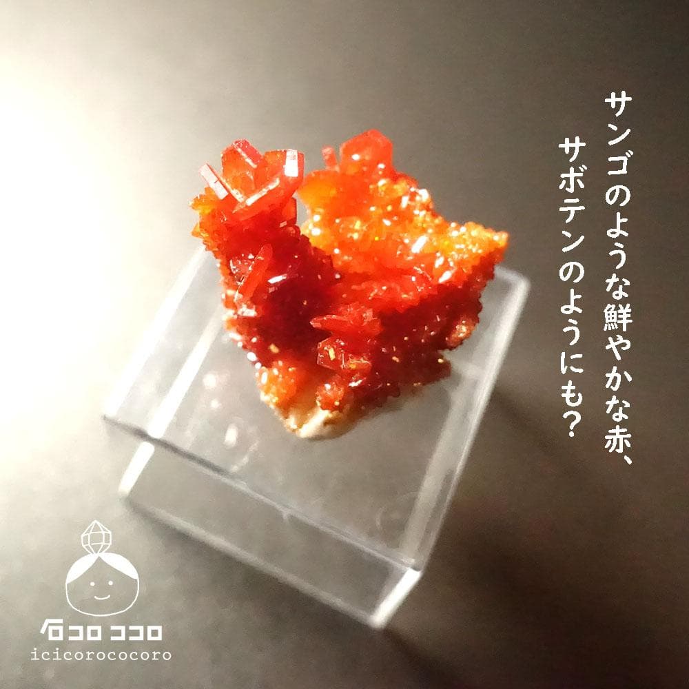 【匿名配送】バナディナイト06◆モロッコ直輸入【かわいい鉱物標本】石コロ ココロ