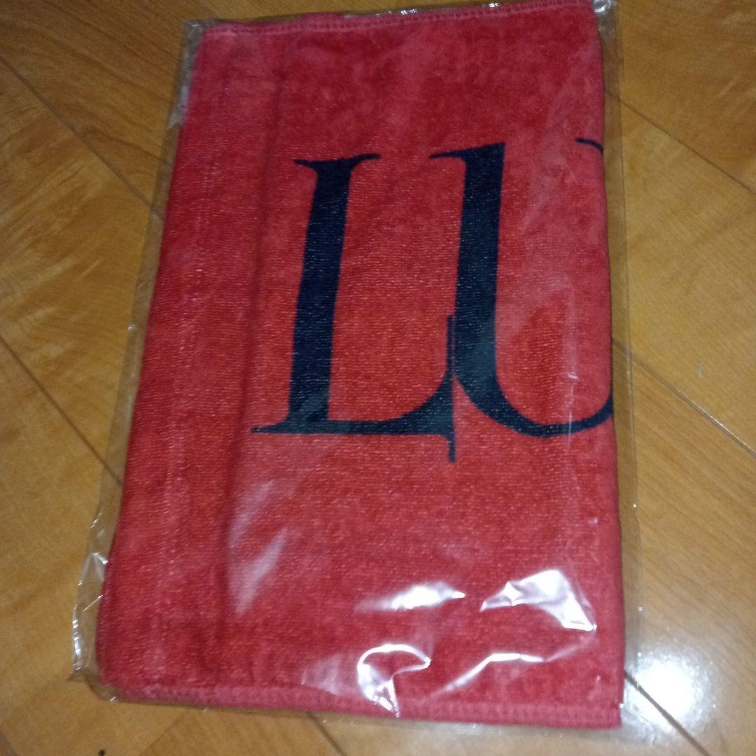 LUNA SEA PHOTO Tシャツ/XLサイズ +ロゴタオル ルナフェス