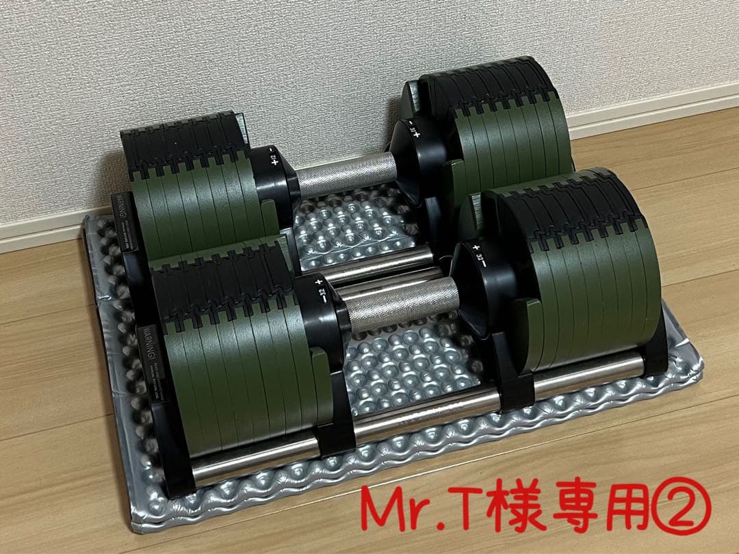 【Mr.T②】フレックスベル 2kg刻み 32kg