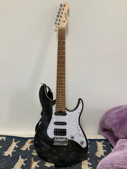 エレキギター　GRASS ROOTS G-SN-CTM