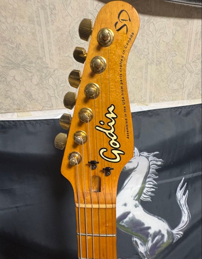 Godin　ゴダン　レアな SD-24
