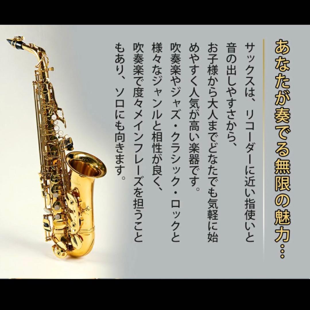 【くまぞう】アルトサックス 入門セット 8点　ゴールドラッカー ケース付き
