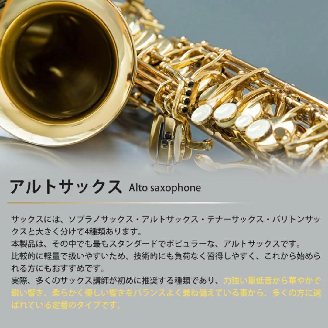 【くまぞう】アルトサックス 入門セット 8点　ゴールドラッカー ケース付き