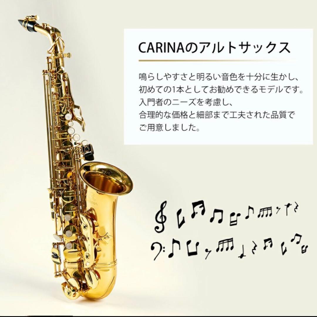 【くまぞう】アルトサックス 入門セット 8点　ゴールドラッカー ケース付き