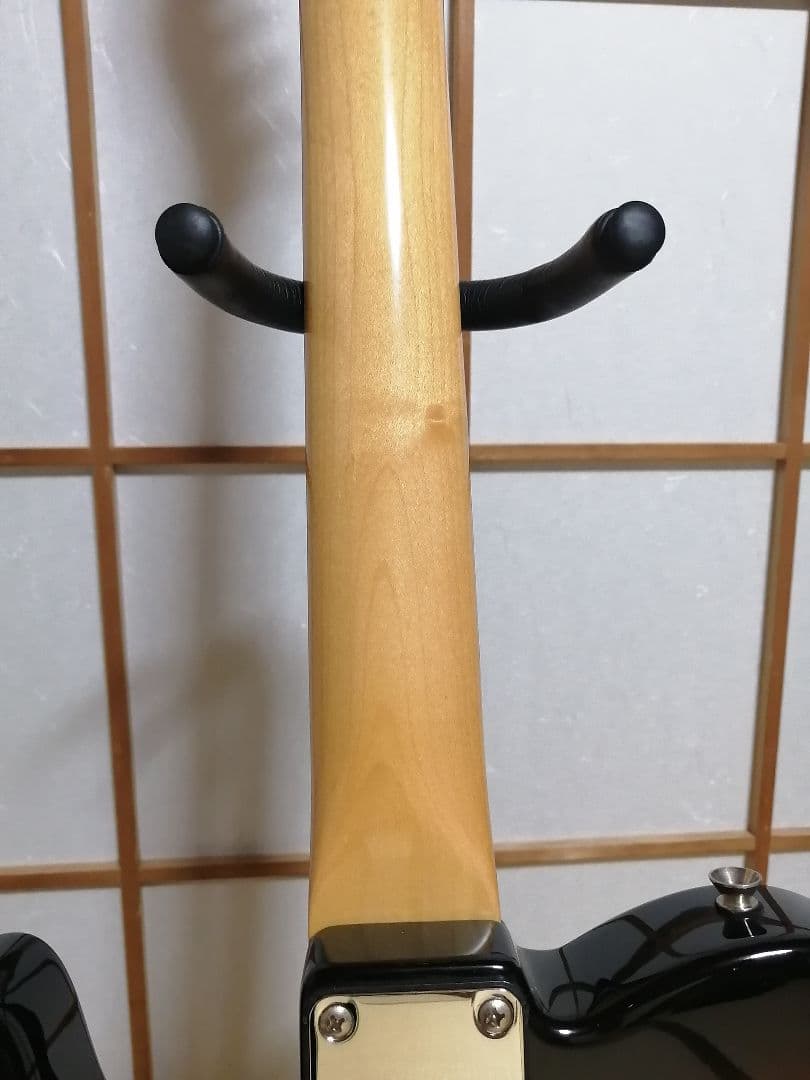 「旧ロゴ」Bacchus Universe Series テレキャスタータイプ