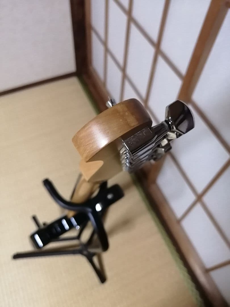 「旧ロゴ」Bacchus Universe Series テレキャスタータイプ