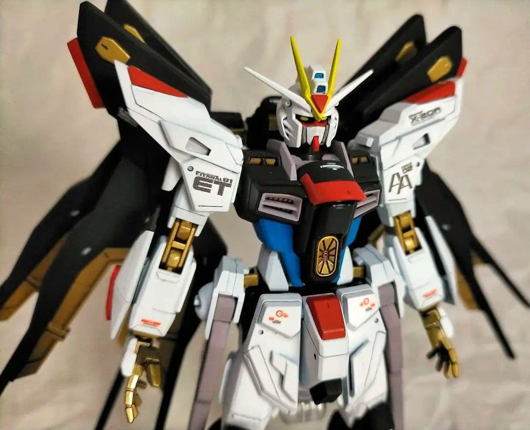 HGCE ストライクフリーダムガンダム 全塗装完成品(多数改修点あり)