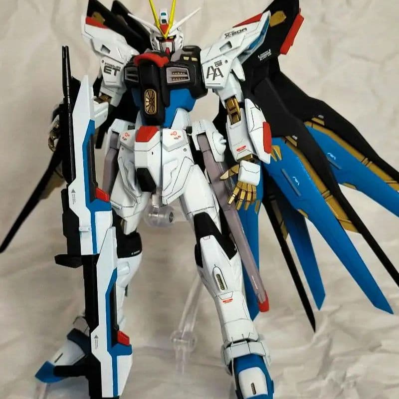 HGCE ストライクフリーダムガンダム 全塗装完成品(多数改修点あり)
