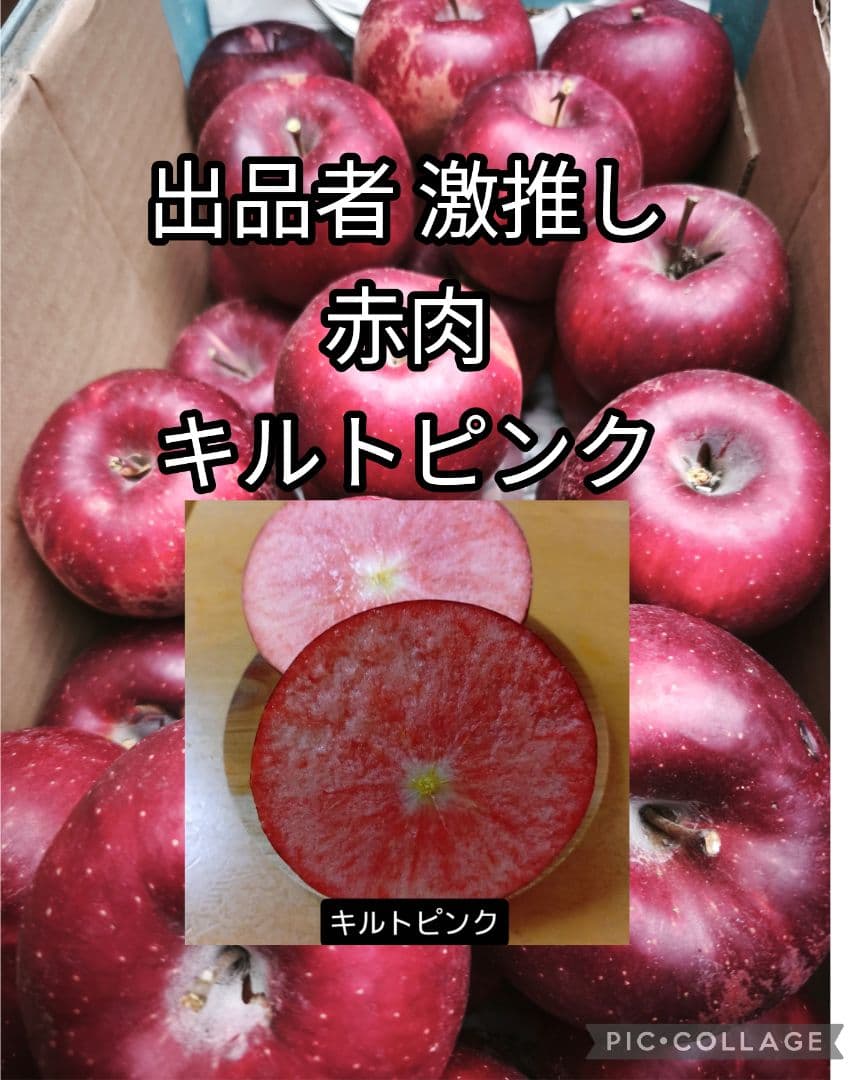 林惠子　ポッピンルージュ、ムーンルージュ、キルトピンク　トータル10キロ