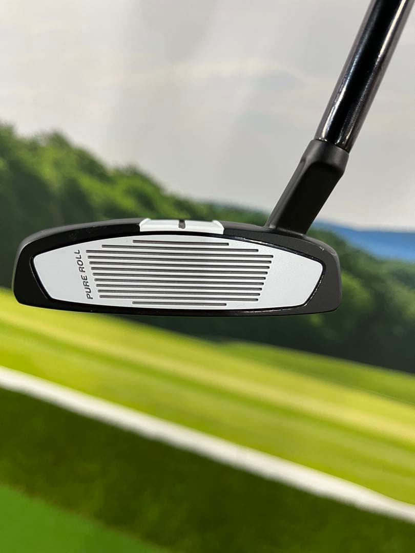 Spider Tour X パター スモールスラント　マキロイモデル