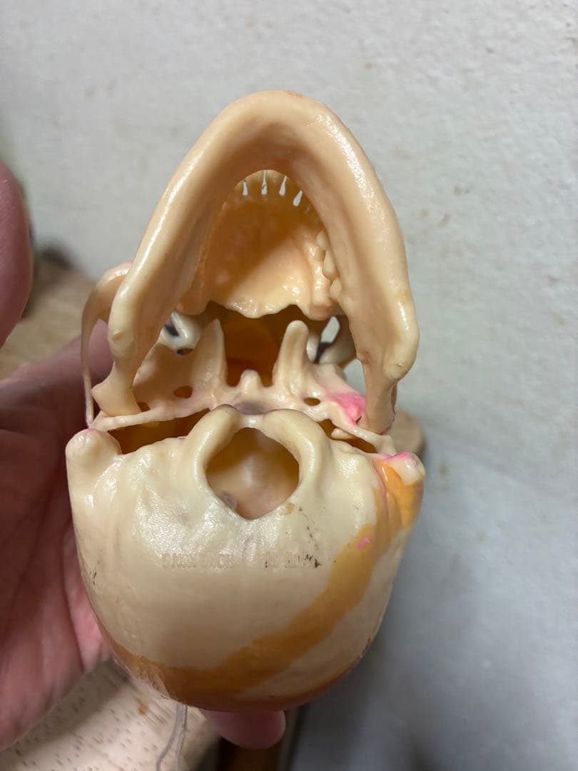 ビンテージ 60s スカル　髑髏　骸骨　死神　ハロウィン　ホラー　レトロ