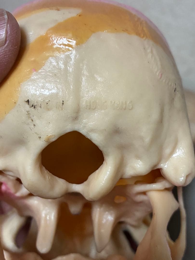 ビンテージ 60s スカル　髑髏　骸骨　死神　ハロウィン　ホラー　レトロ