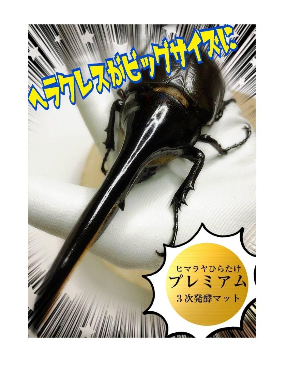 たっぷり！50リットル☆極上！プレミアム3次発酵カブトムシマット☆特殊アミノ酸入